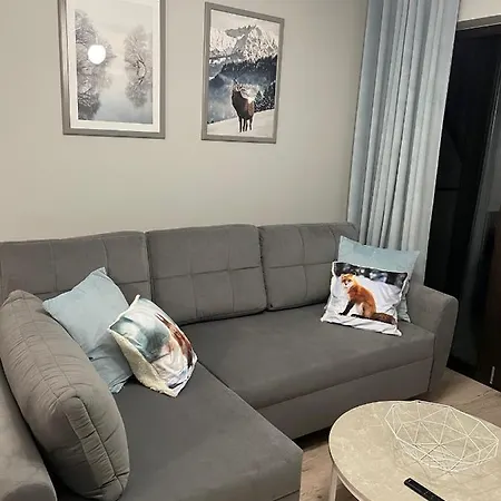 Silence Karpatia Tanzanit Karpacz