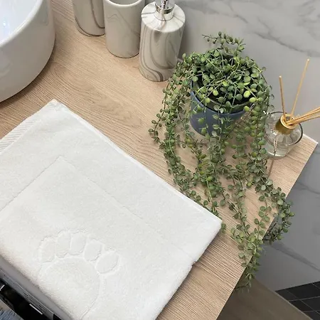 Apartmán Silence Karpatia Tanzanit *